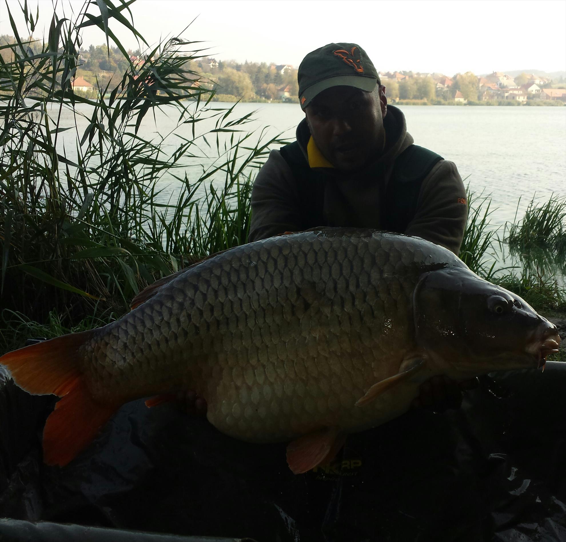 Harsany 2014 - 26kg,prins de un vecin de stand